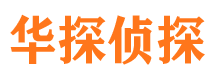 城子河侦探公司